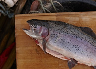 Trout on cutting board